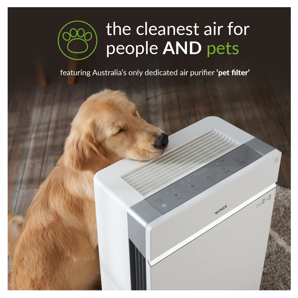 Breathing Easier: Unveiling the Power of ZERO+ PRO 5-Stage - Australia's Premier Air Purifier for Homes and Workplaces